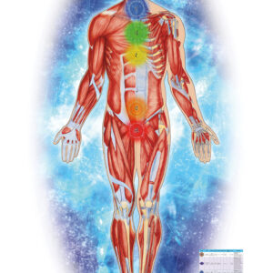 Chakra Poster 24″ x 36″